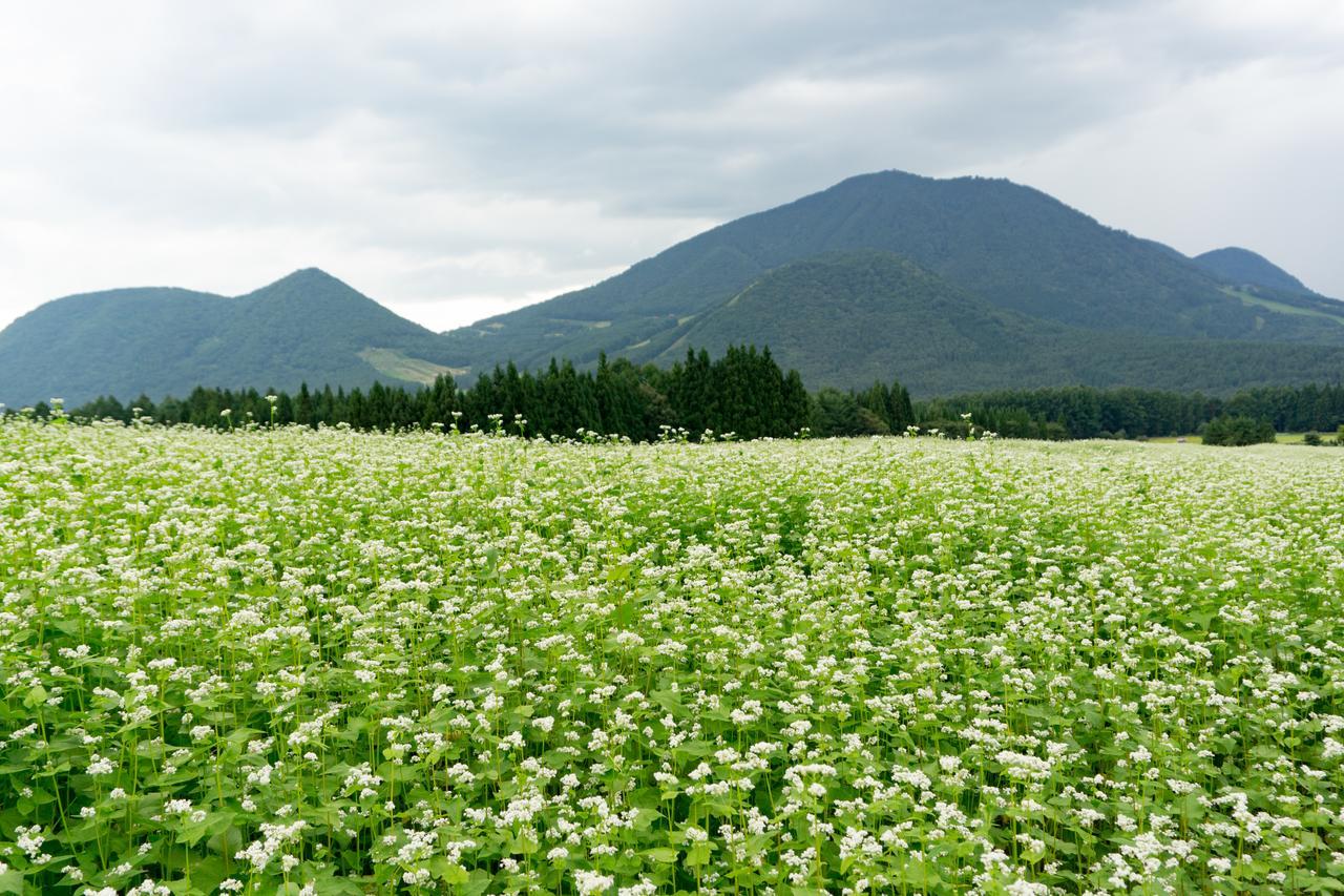 Bed and Breakfast Aibiya Яманути Экстерьер фото